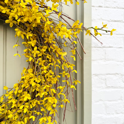 XL 32" Spring Forsythia Front Door Wreath with Designer Ribbon